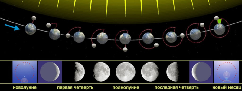 Влияет ли новолуние на клев?